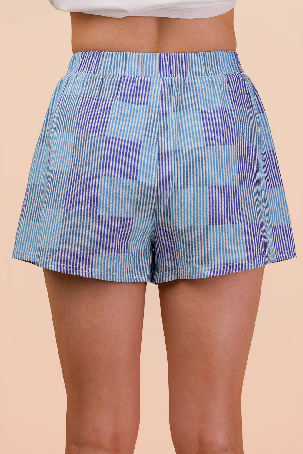 Striped & Checker Shorts: Blue/Purple