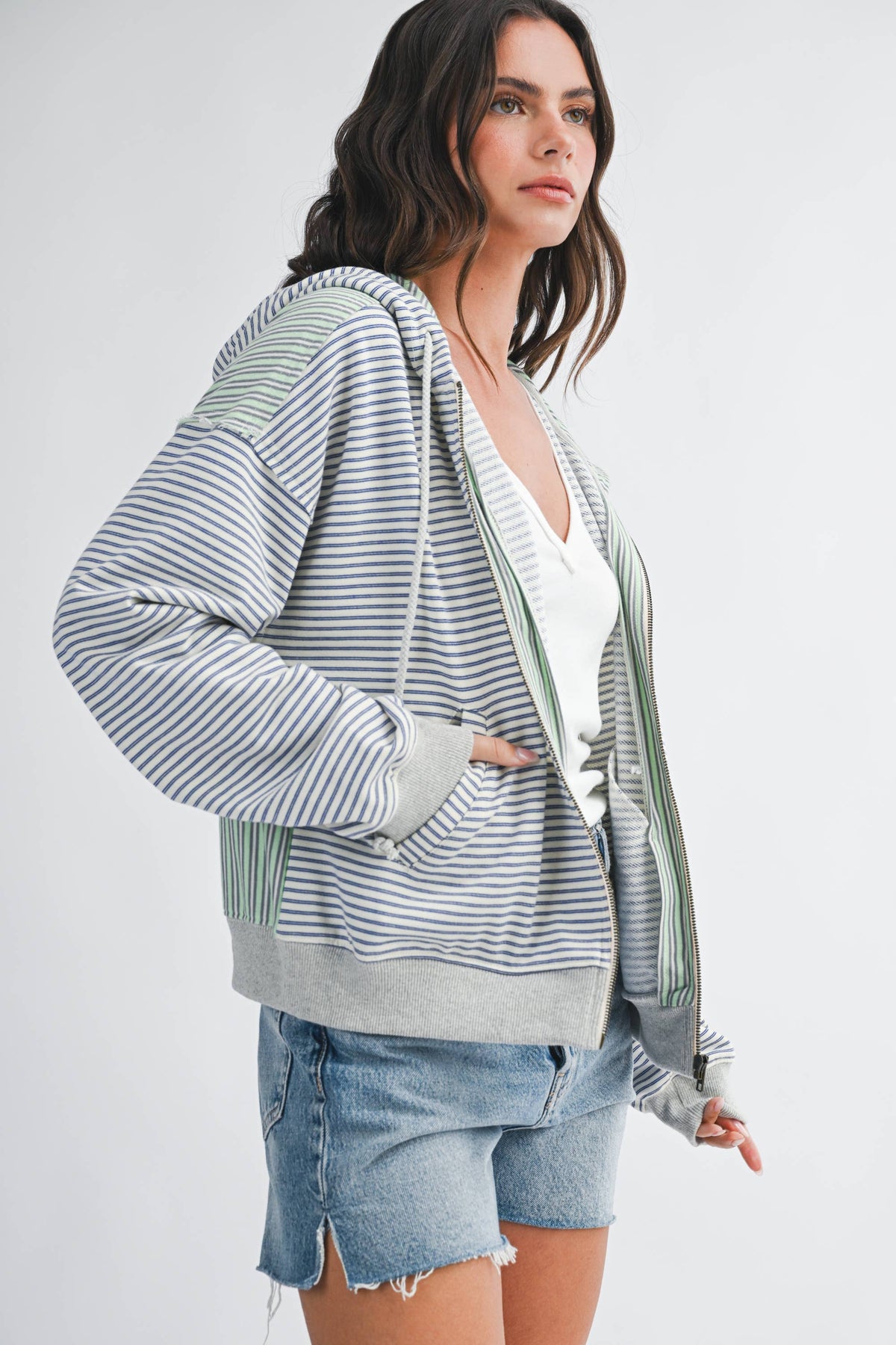 Striped Zip Hoodie: Blue