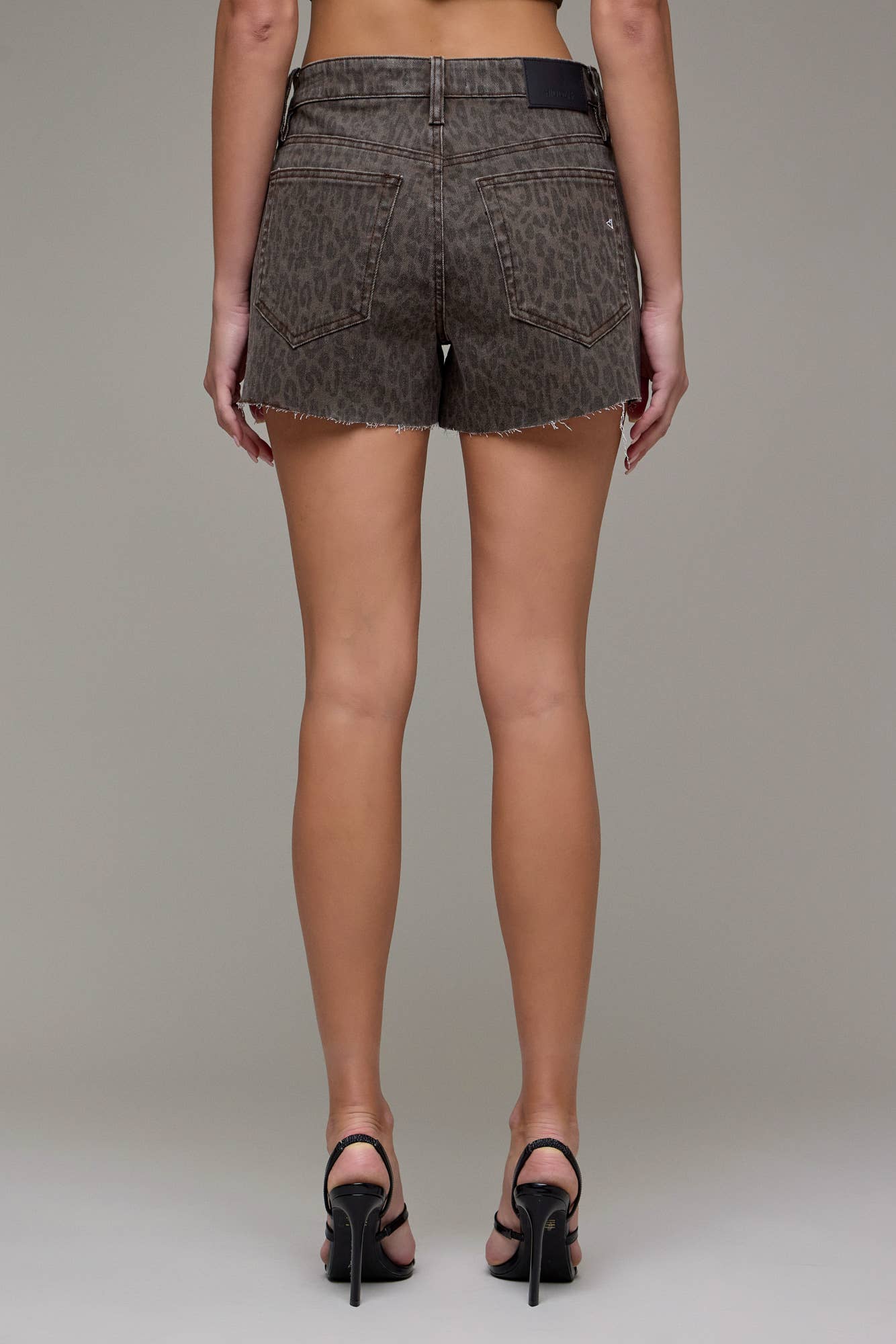 Cheetah High Rise Shorts: