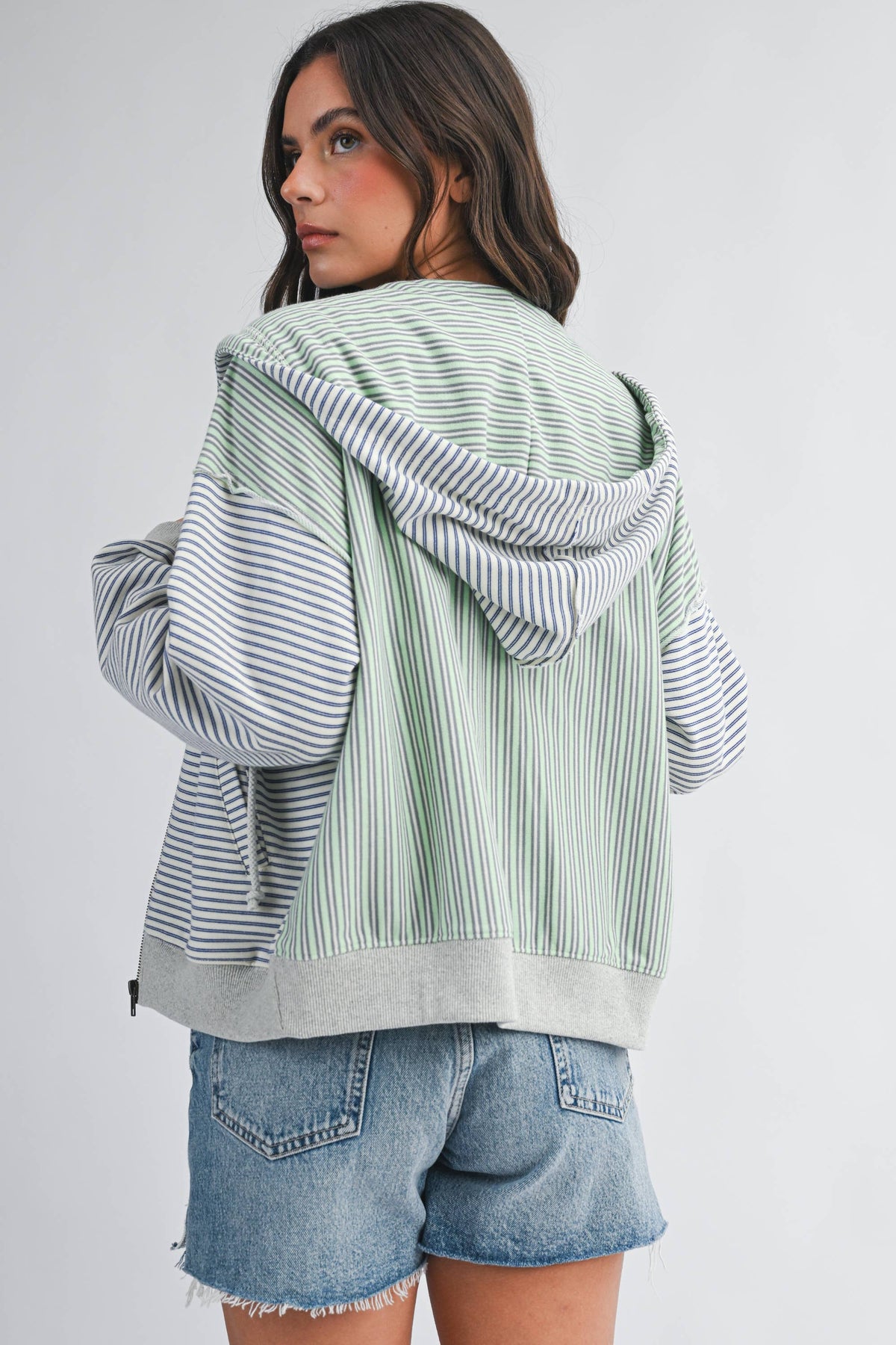 Striped Zip Hoodie: Blue
