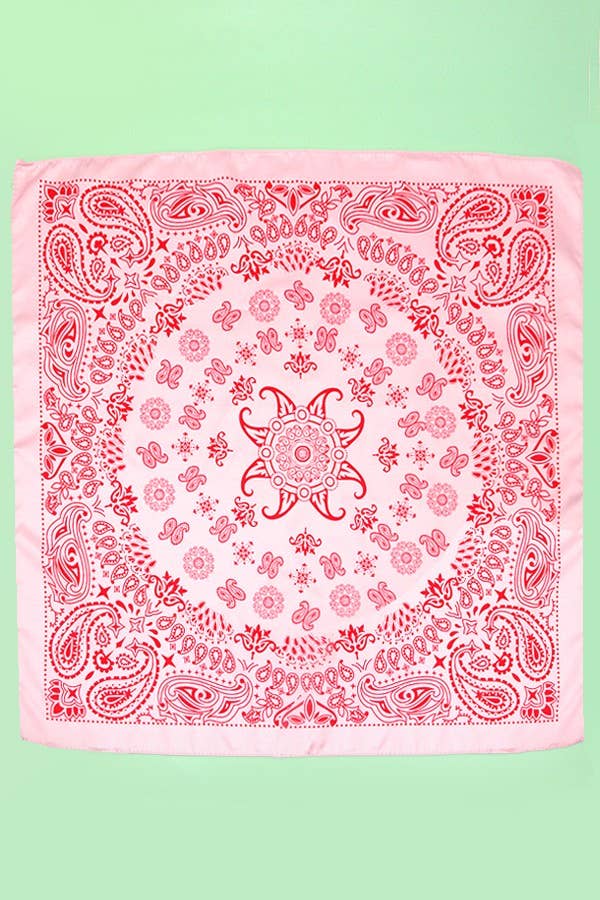 Paisley Pink Scarf:Pink