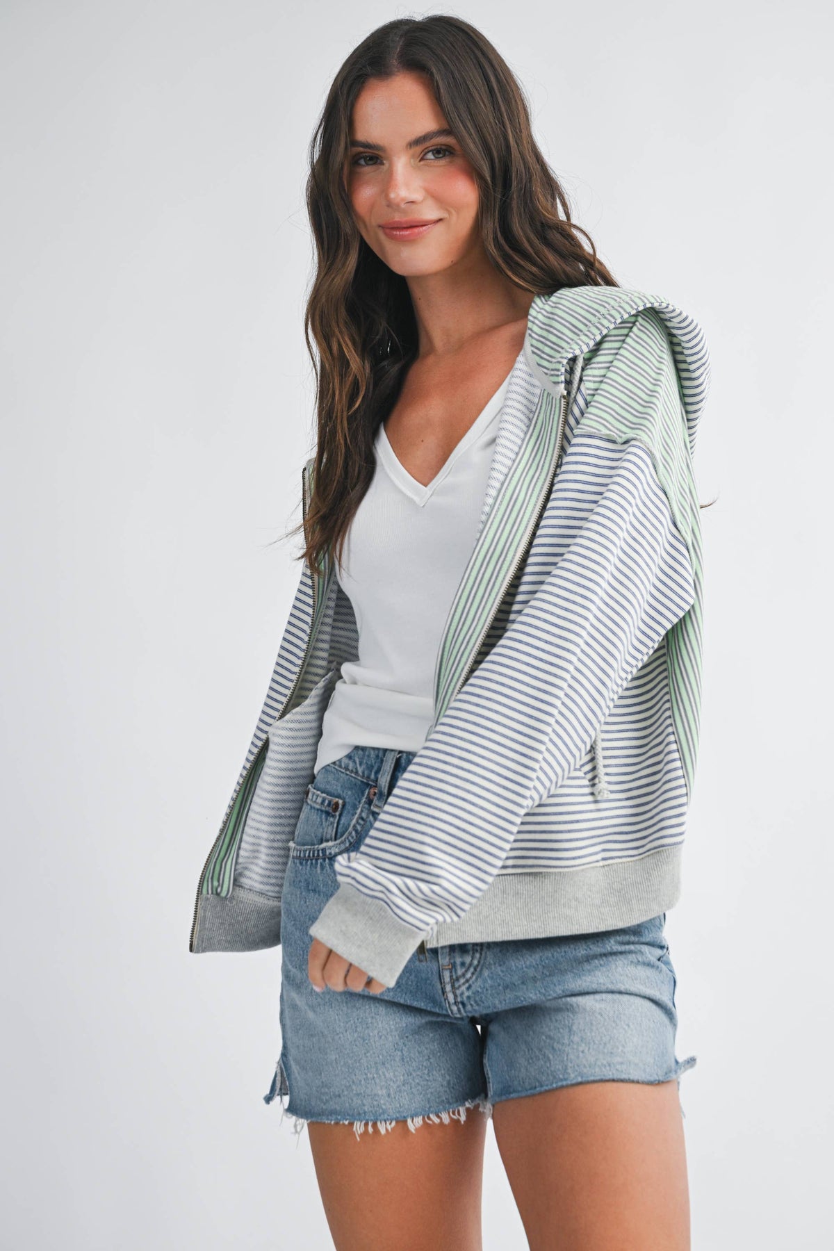 Striped Zip Hoodie: Blue