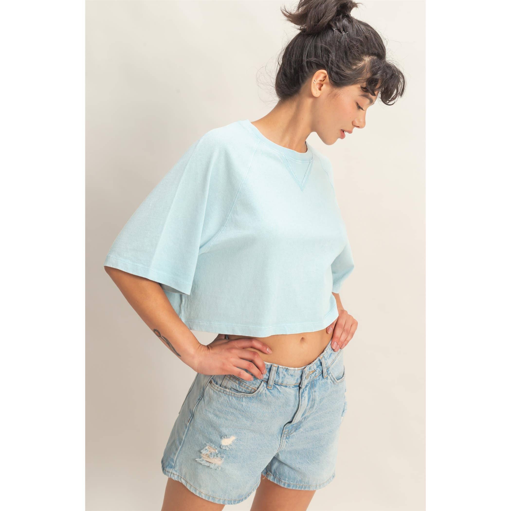 Mineral Washed Tee: Blue