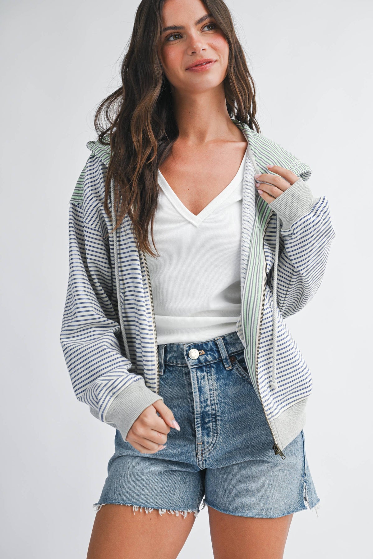 Striped Zip Hoodie: Blue