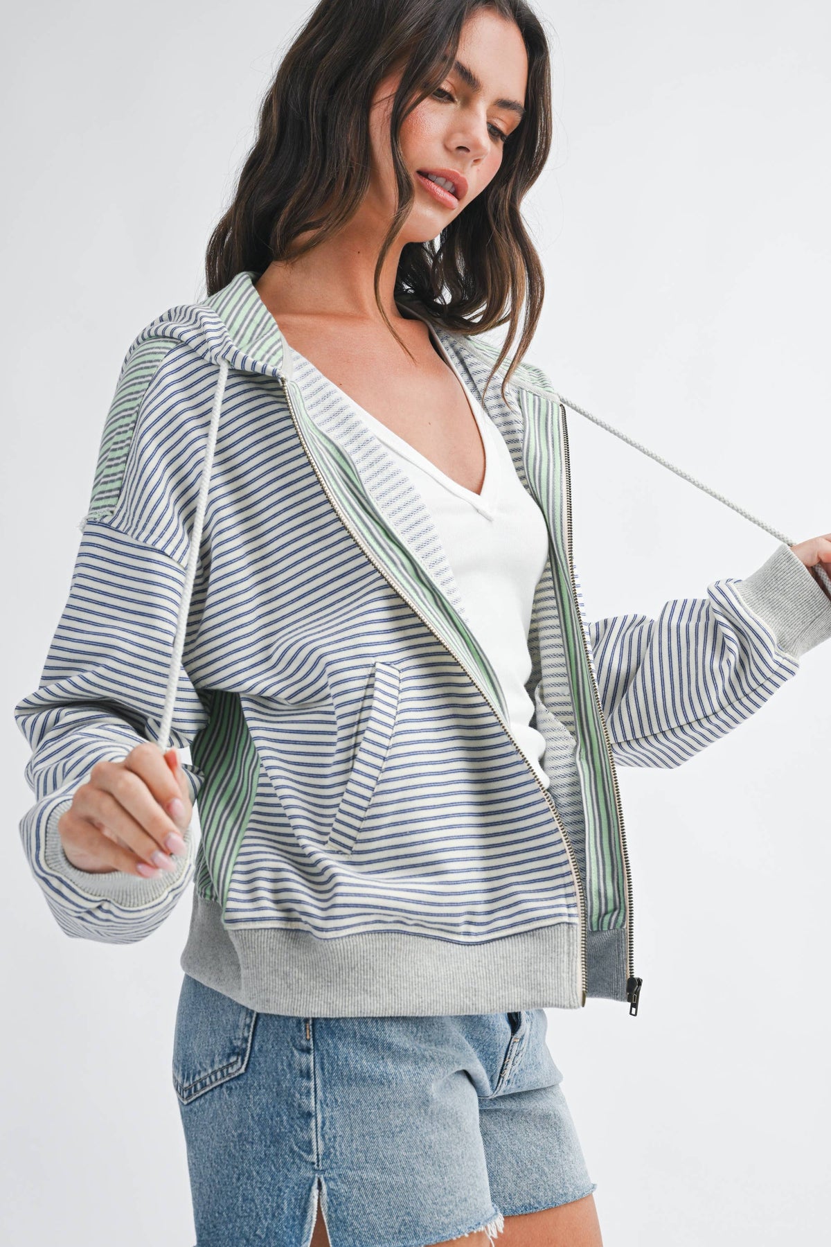 Striped Zip Hoodie: Blue