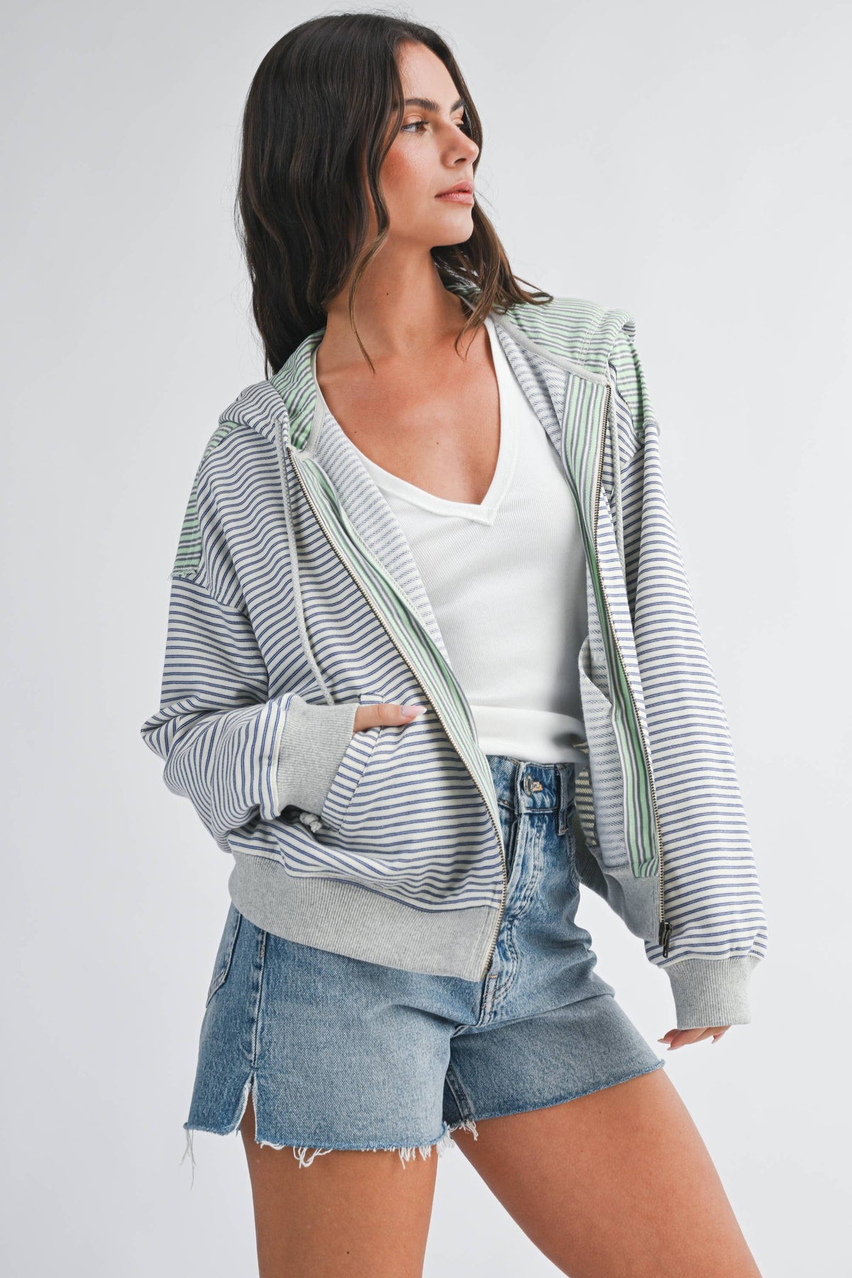 Striped Zip Hoodie: Blue