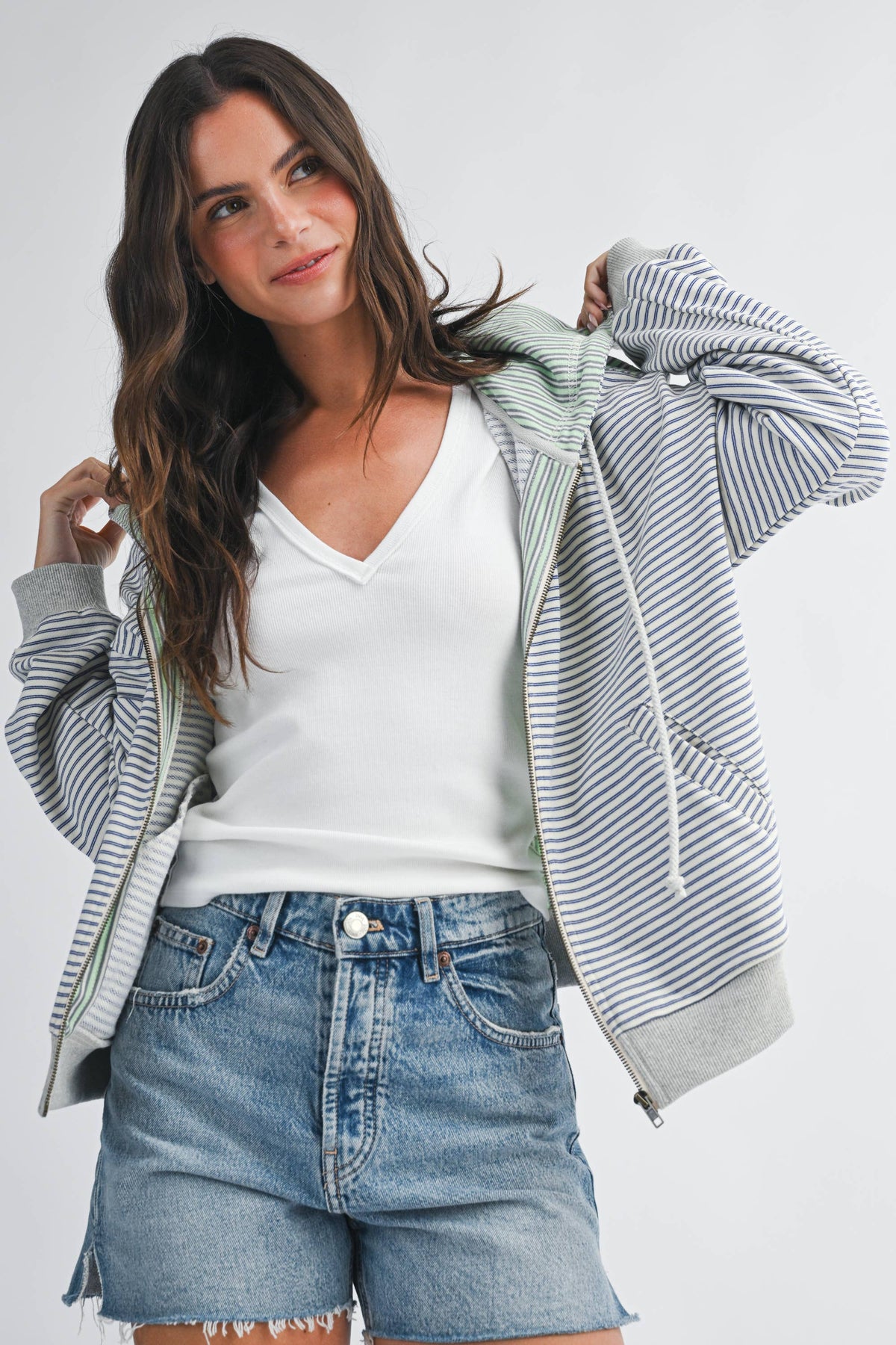 Striped Zip Hoodie: Blue